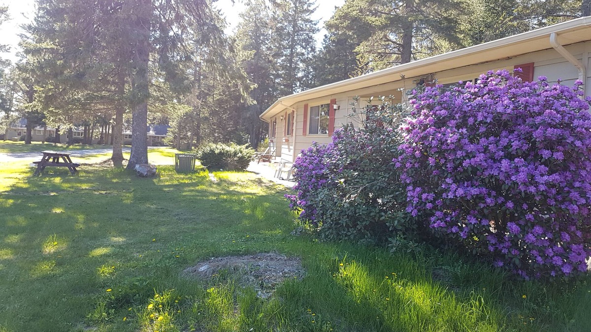 Penobsquis Hotel | Pine cone Motel