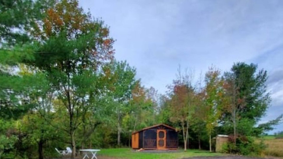 Rock Stream Cabin | Pine Cone Off grid cabin near Watkins Glen, NY!