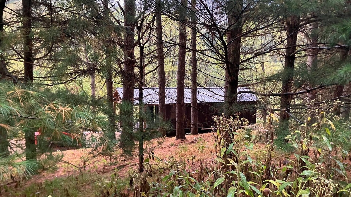 Killbuck Cabin | Pine Grove Cabin 30 acres of woods, meadows, pond and creek near Amish Country