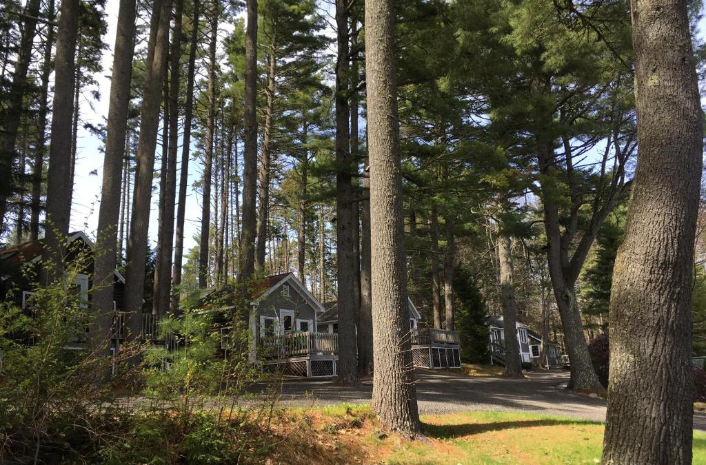 Lincolnville Resort | Pine Grove Cottages