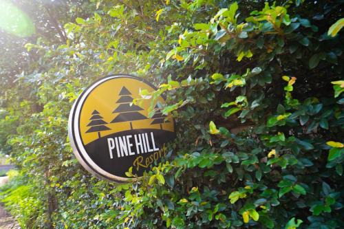 Soc Son Resort | Pine Hill Villas & Camping
