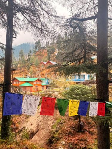 Jibhi House | Pine Nest Deluxe Rooms