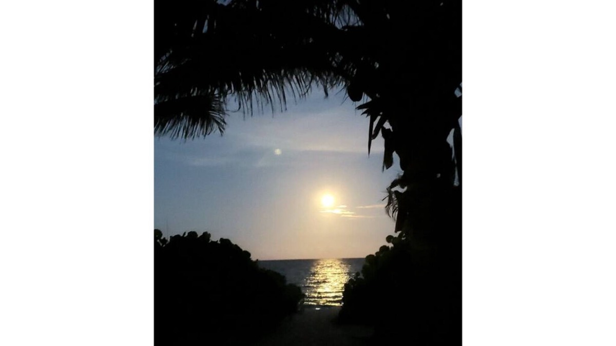 Briny Breezes House | Pineapple Beach Cottage steps from the sand!