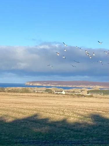 Hunspow House | Pinelodge, Dunnet Bay