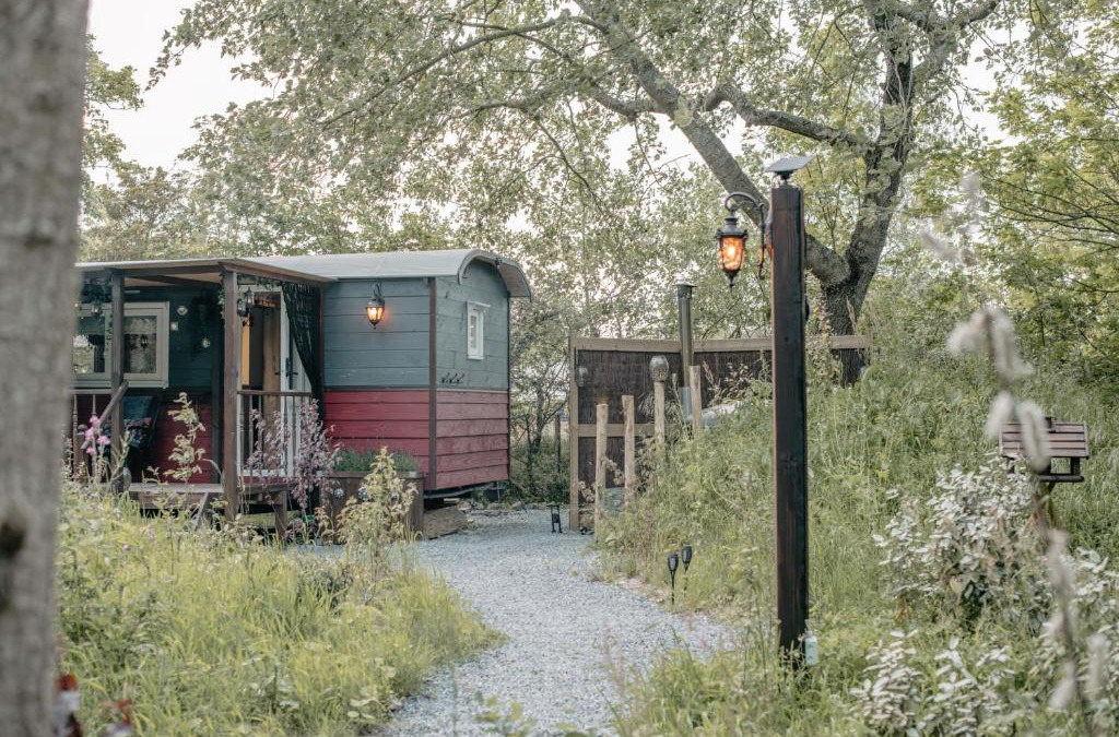Oostkapelle Ski Chalet | Pipowagen de Zwerveling aan zee