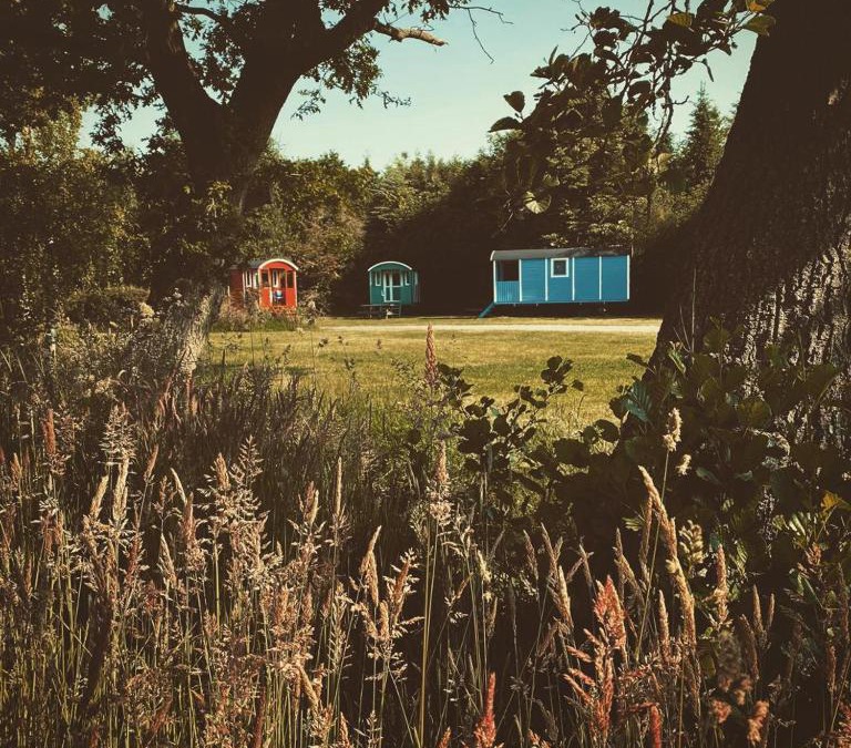 Jubbega Other | Pipowagens bij Pannenkoekenrestaurant & Camping De Koppenjan 'Een uniek verblijf met kinderspeelboerderij'