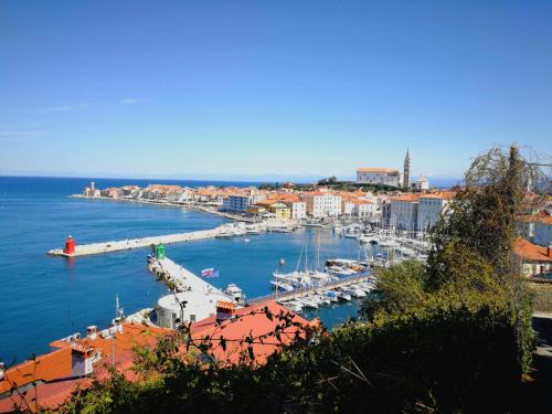Piran Apartment | Piran Punta Kim Apartment