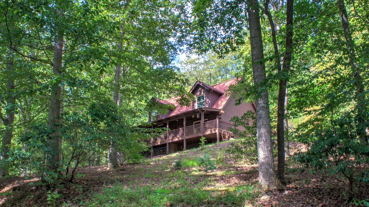 Arden Cabin | Pisgah Pines | Cozy Log Cabin w/Hot Tub & Fire Pit Near Asheville Airport