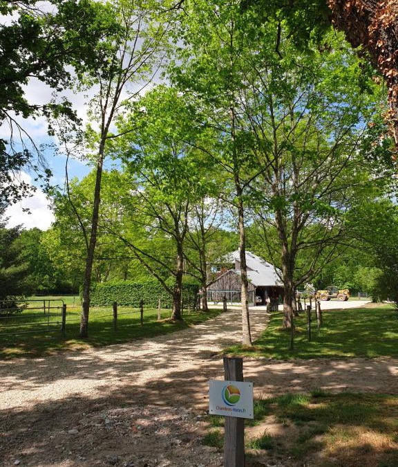 Gouise House | Pisseloup