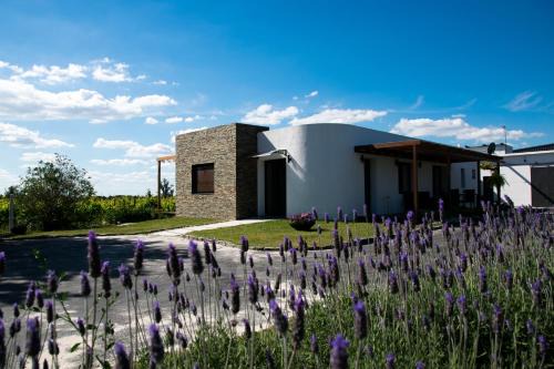 Montevideo Department Hotel | Pizzorno Lodge & Wine