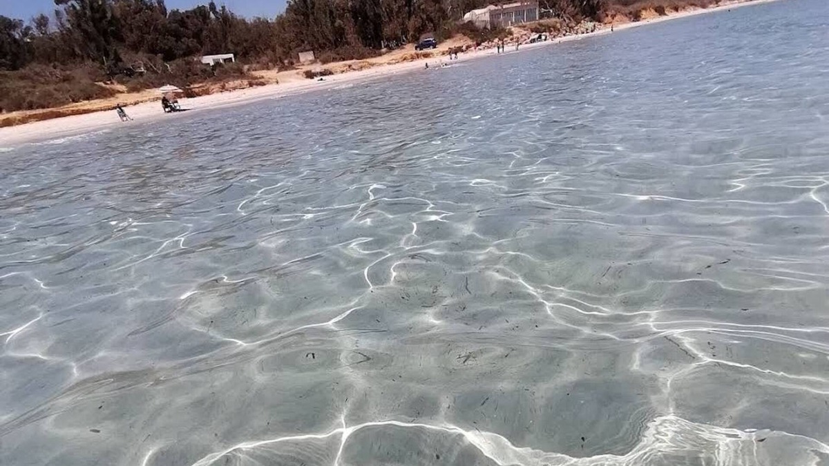 Hammam Al Agzaz Apartment | plage ezzahra kelibia tunisia
