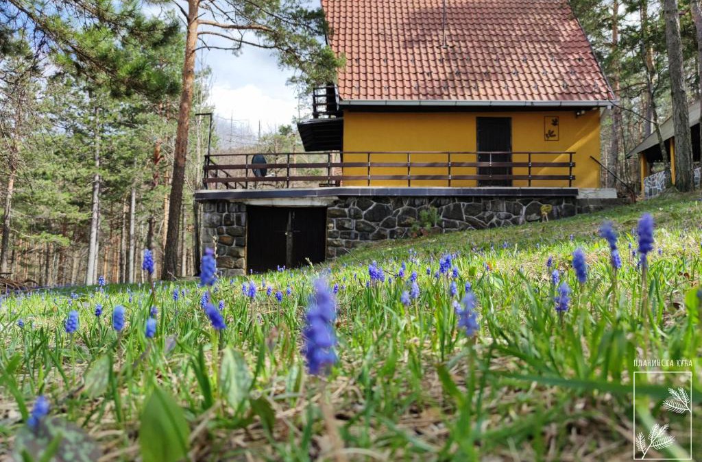Divcibare House | Planinska kuća Čudesni bor