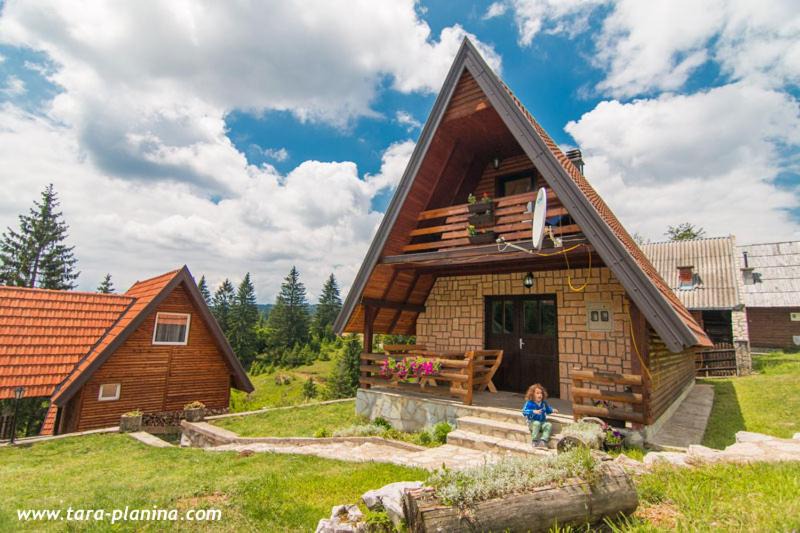 Tara National Park House | Planinska Kuća Dušan