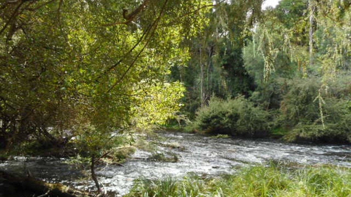 Warburton Apartment | Platypus Den in Warburton