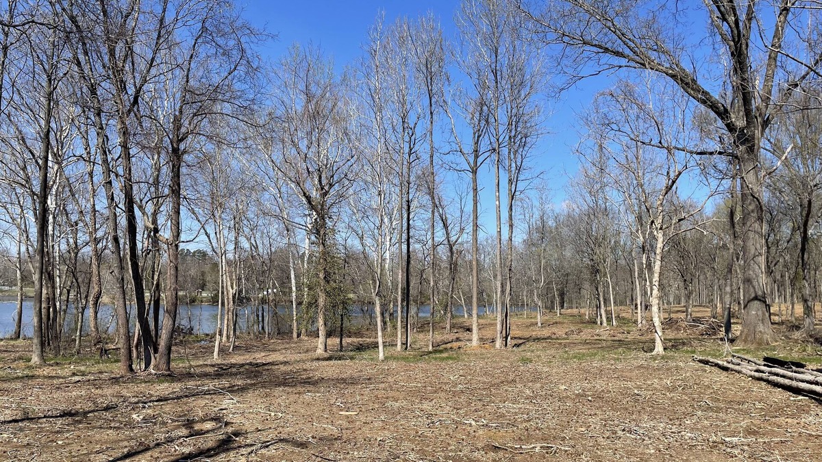 Carbondale RV Rental | PLAYPORT South camp. Eclipse Hot Spot. South Zone primitive camp sites