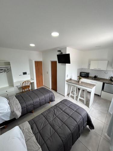 San Lorenzo Apartment | Plaza Km 325