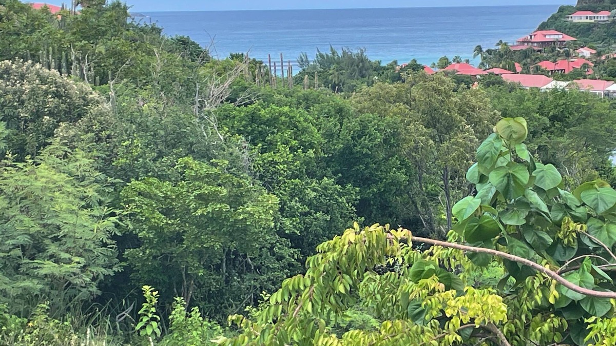Saint-Jean House | Pleasant, quiet villa five minutes' walk from the beach of st Jean🌴