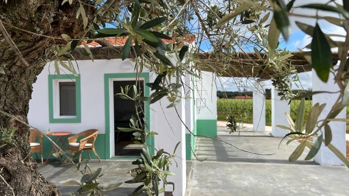Borba Cottage | Pleno Alentejo Rodeado de Vinhas e Junto as Cidades de Borba, Vila Viçosa e Estr