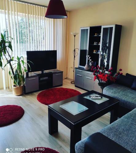 Pleven Apartment | Pleven Sunny Apartment