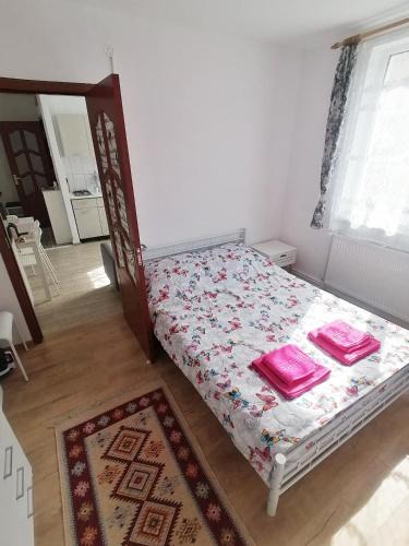 Deva Apartment | Plopilor - Studio 2nd Floor