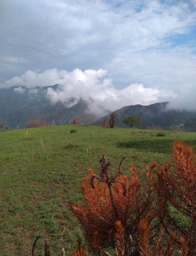 Rajgarh Resort | Plumvelly cottage