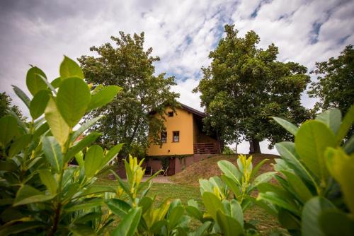 Dobrovnik House | Počitniška hiša Car