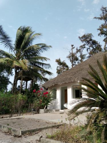 Kafountine Bed & Breakfast | Poco Loco B&B