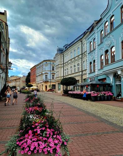 Tarnow Apartment | Pod Bimą