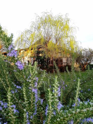 Cicogna House | Podere Piandarca