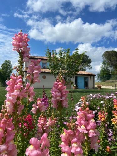 Monteleone Bed & Breakfast | Poderino - a place to feel