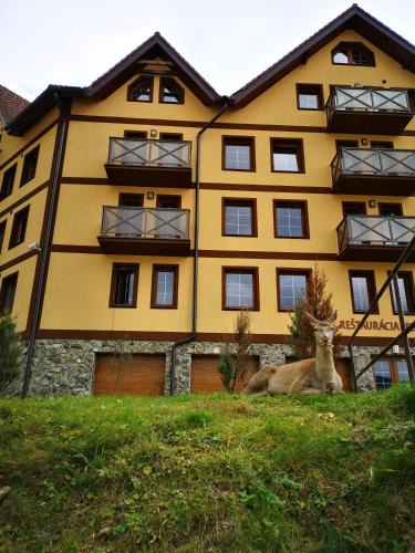Telgart Apartment | Podkrovný Apartmán Attic 32 Telgárt