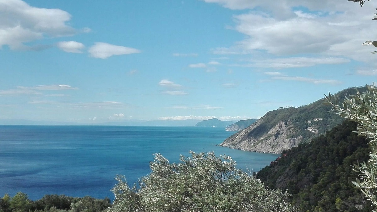 Montaretto Apartment | Poggio del Salice: Apt. Cinque Terre with terrace-4 people /Citra 011005LT0087
