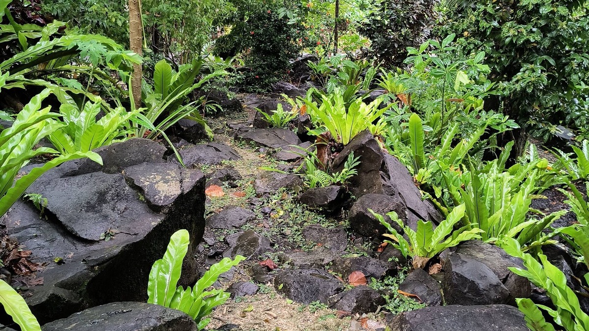 Pohnpei House | Pohnpei Family Bungalow