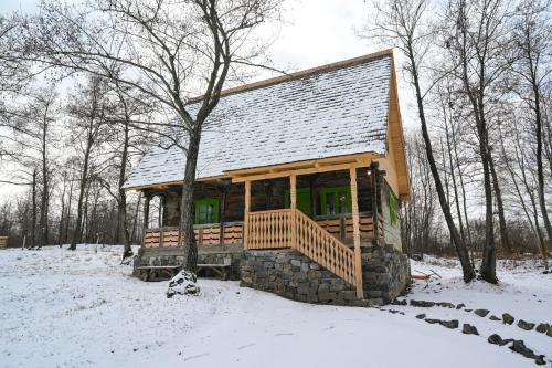 Ocna Sugatag Villa | Poiana Creasta Cocoșului-Casa Trifoi