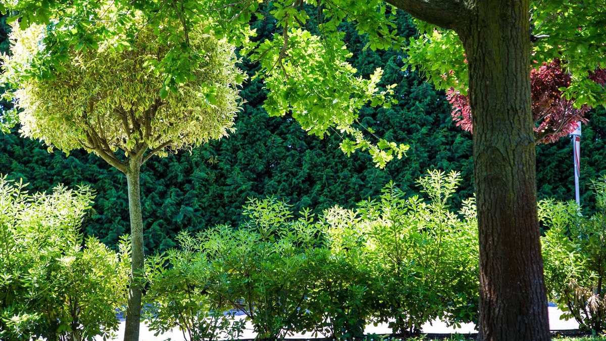 Piove di Sacco Hotel | Point Hotel