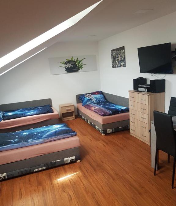 Uhersky Brod Apartment | pokoj s kuchynì pro tři
