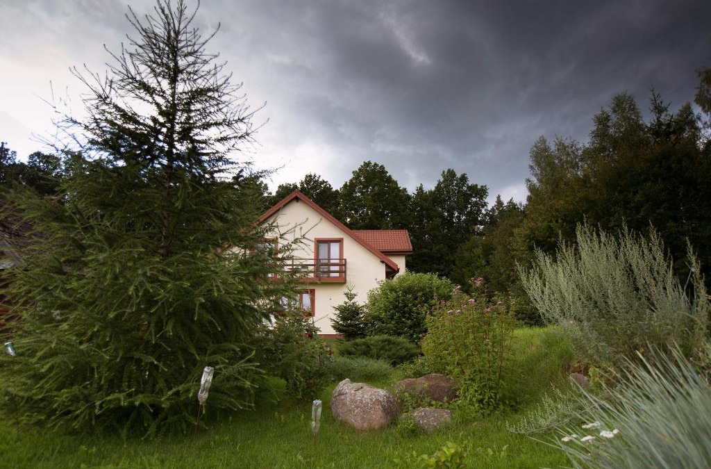 Bialowieza House | Pokoje Gościnne Na Skraju Puszczy
