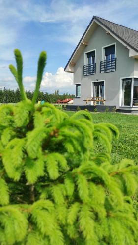 Bystrzyca Kłodzka House | Polny Domek