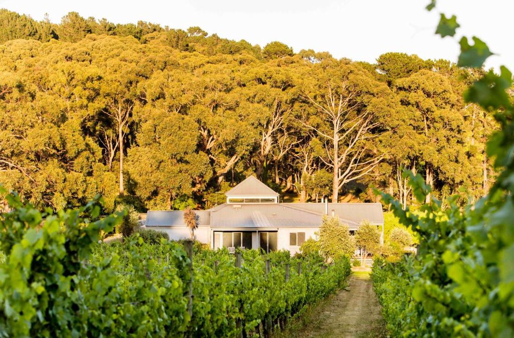 Red Hill Villa | Polperro Villas