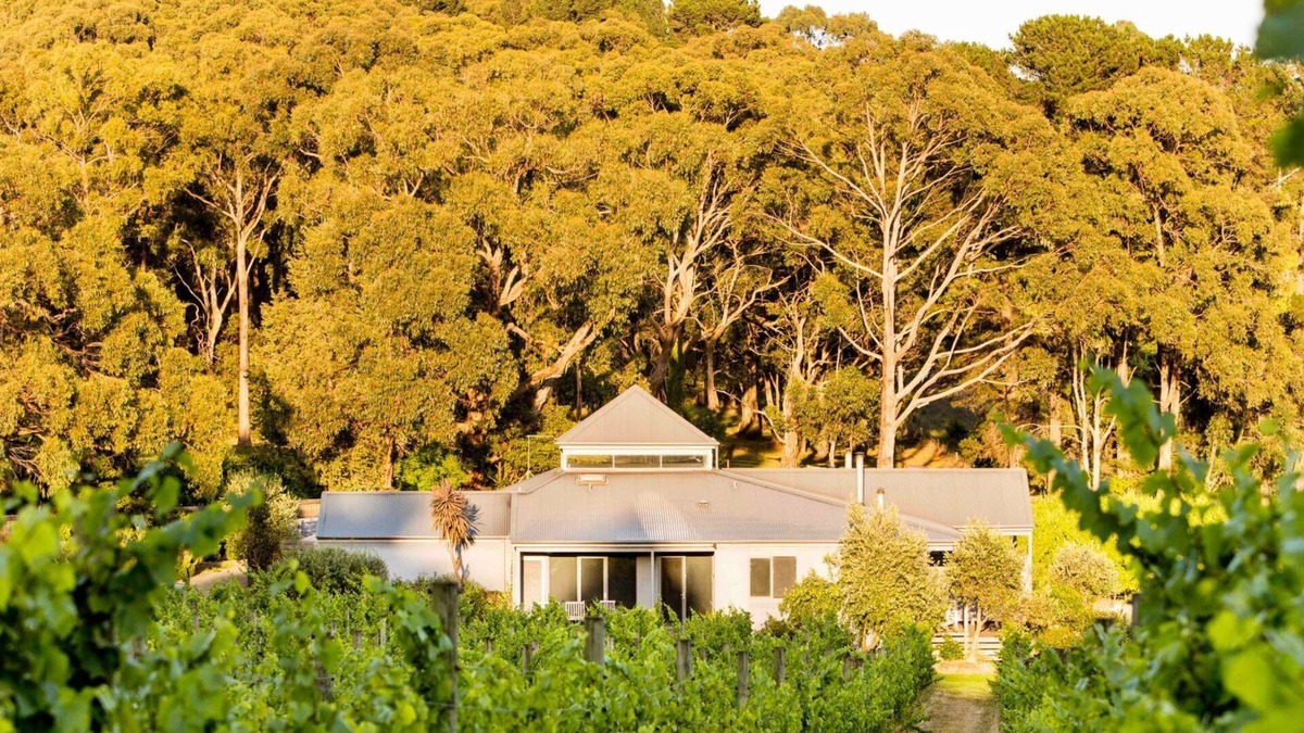 Red Hill Villa | Polperro Winery Villas - Villa 3