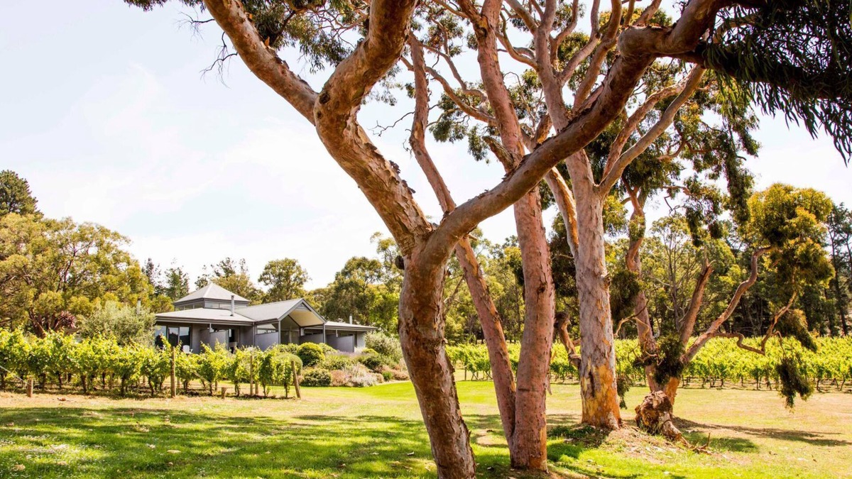 Red Hill Villa | Polperro Winery Villas - Villa 4