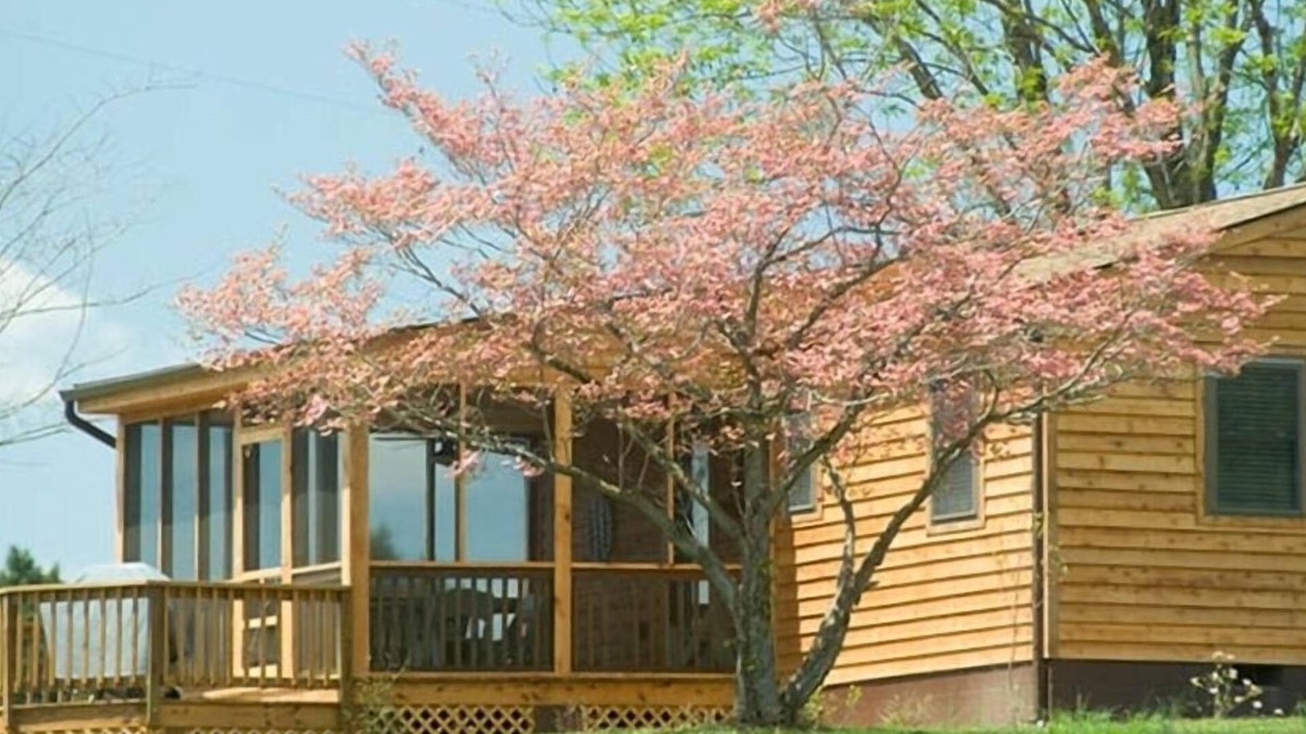 Gordonsville Cottage | 'Pond House' on Huge Horse Farm; Great for Young Families: Escape the City.