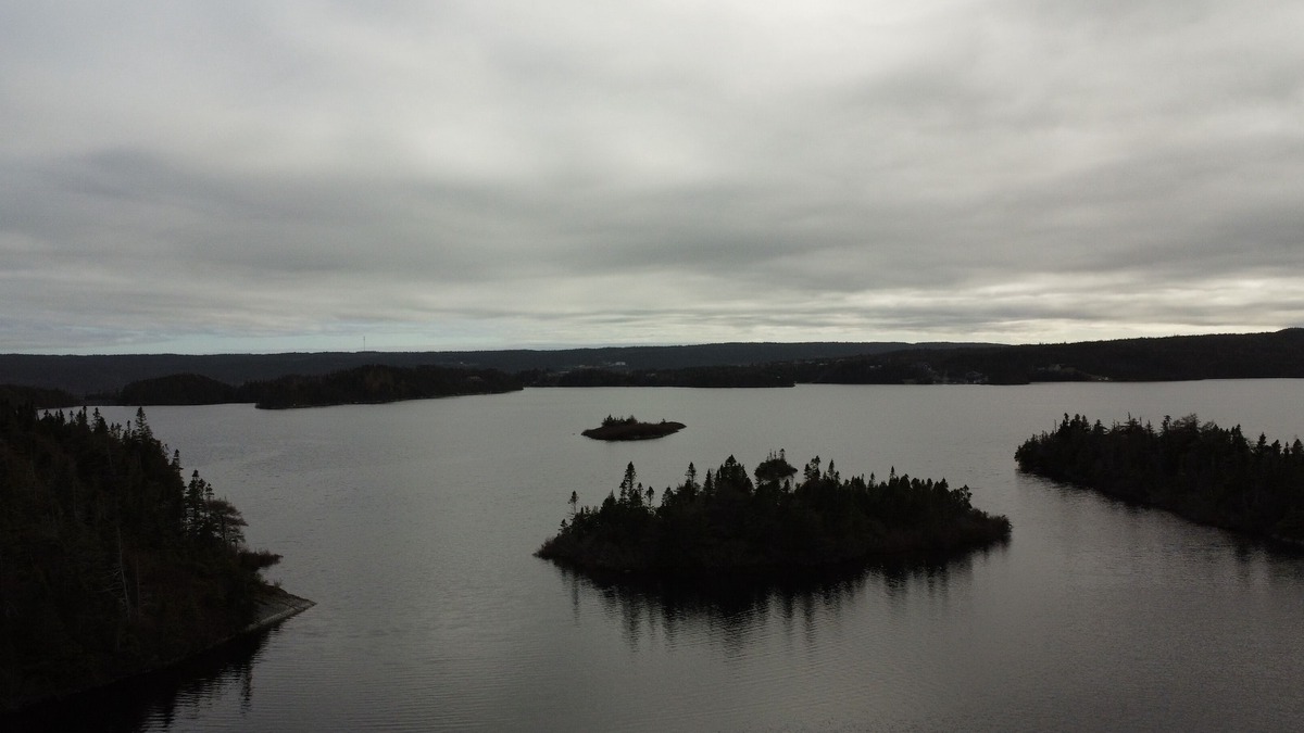 Cape Broyle Cabin | Pond View and Plenty of Room!