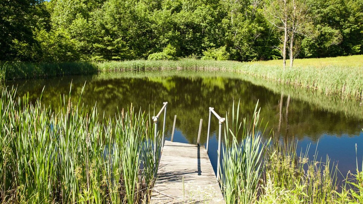 Old Chatham House | Pond View Cottage in Old Chatham WEEKLY & MONTHLY DISCOUNTS OFFERED!!!!