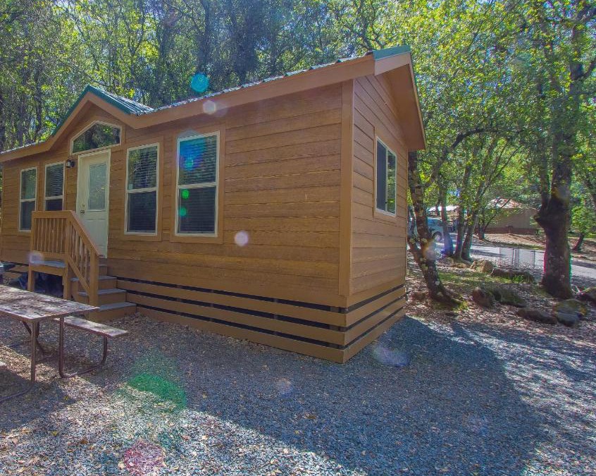 Lotus Resort | Ponderosa Camping Resort One-Bedroom Cabin 4