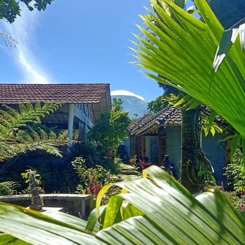 Wonosobo House | Pondok Bamboo Sendangsari
