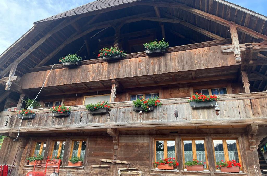 Heiligenschwendi Apartment | Pony Hof