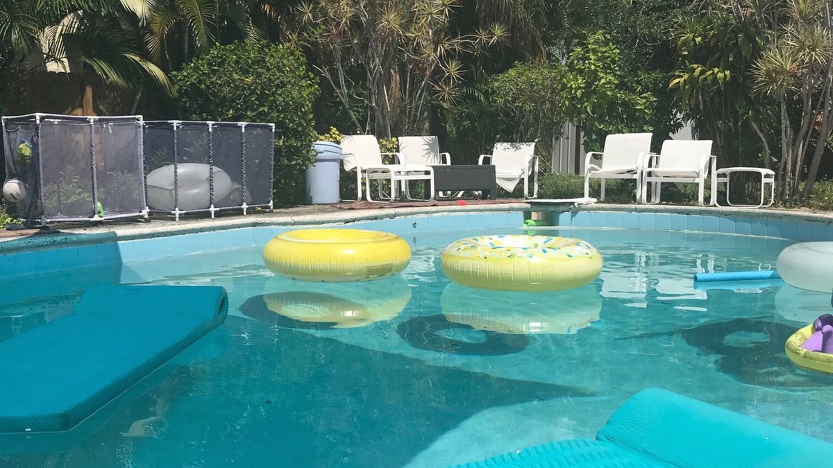 North Central Hollywood Apartment | Pool Room and large yard