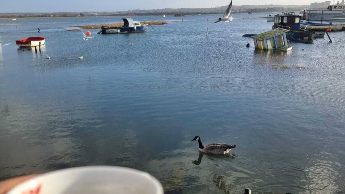 Poole House | Poole, Holes Bay Harbour Nature Reserve - 'Right' next to the water :-) Sleeps 3