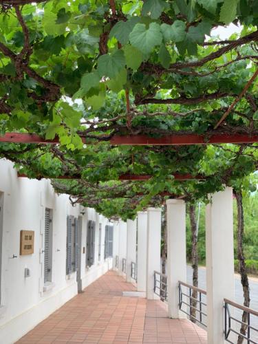 Calitzdorp Bed & Breakfast | Port Wine Guesthouse